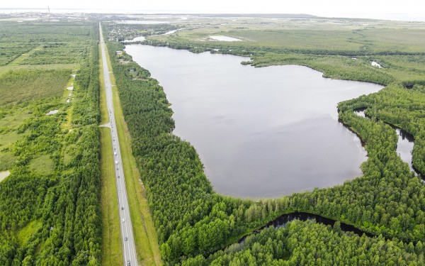 
            Трасса М8 «Холмогоры»: где проходит и как ездить
        